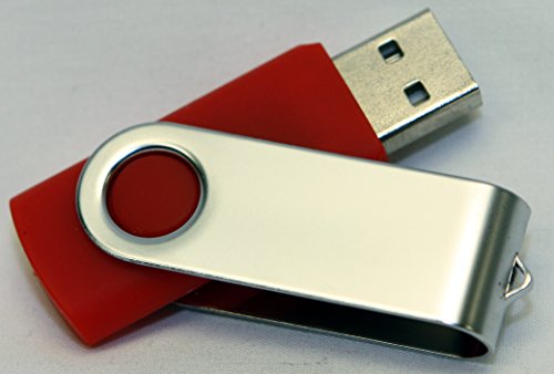 Promotional Keychain & Keyring - Flash Drive (Red)